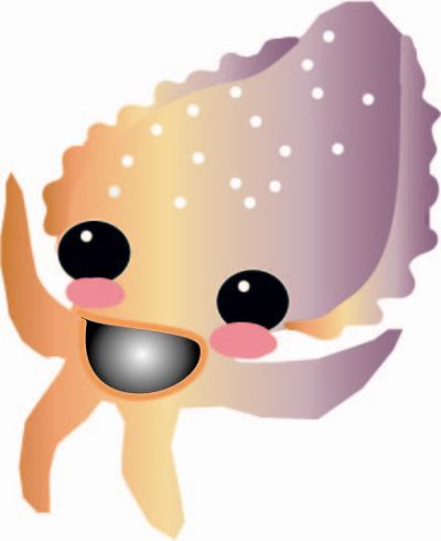 collored cuttlefish