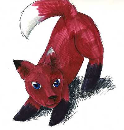 a wolf in fox clothing