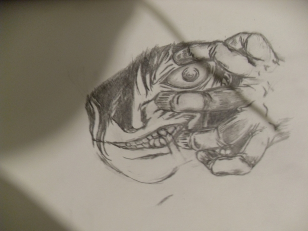 hellsing