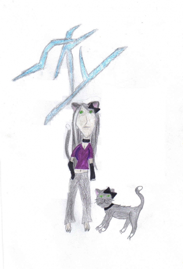 Sky The Tuxedo Cat