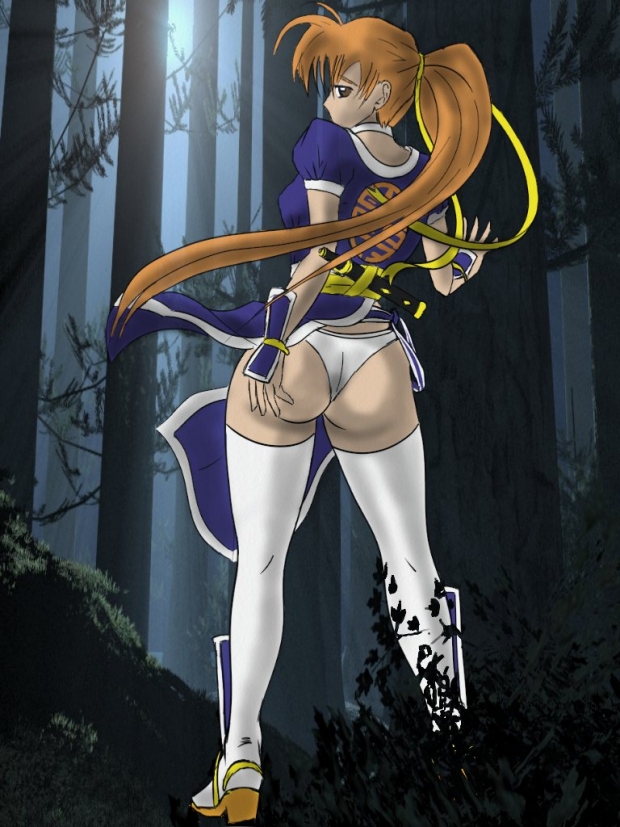 shinobi of the night