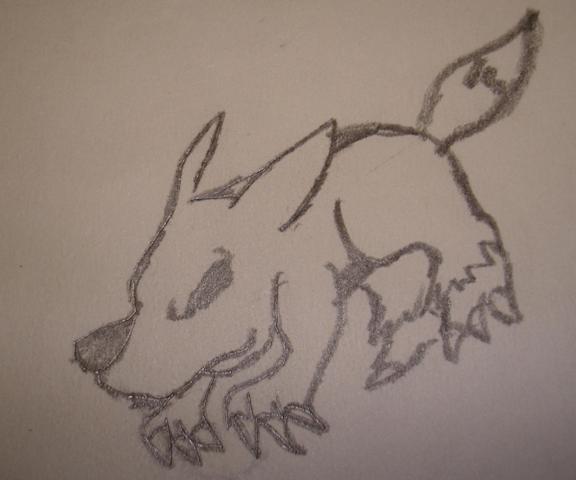 Baby wolf
