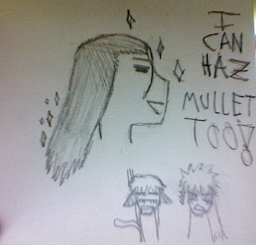 Aizen can haz MULLET!!!