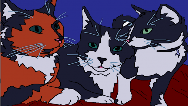 Family cats