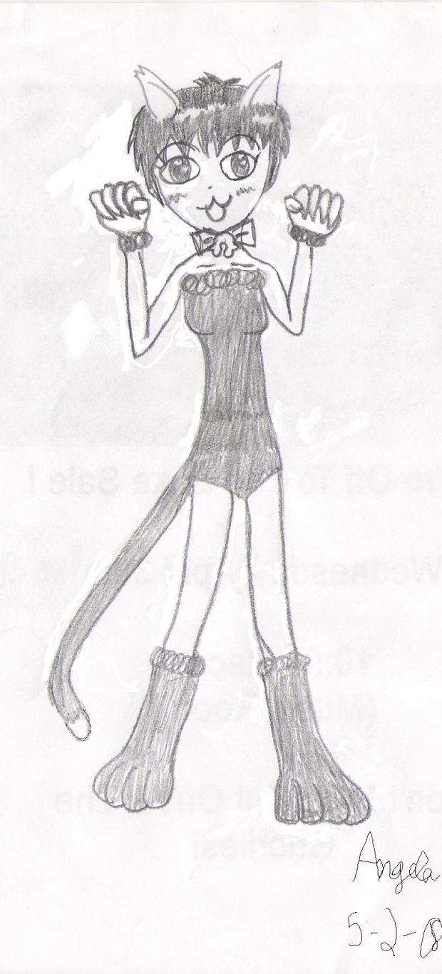 haru the cat