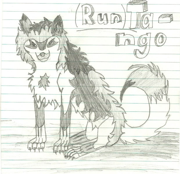 Wolf for friend