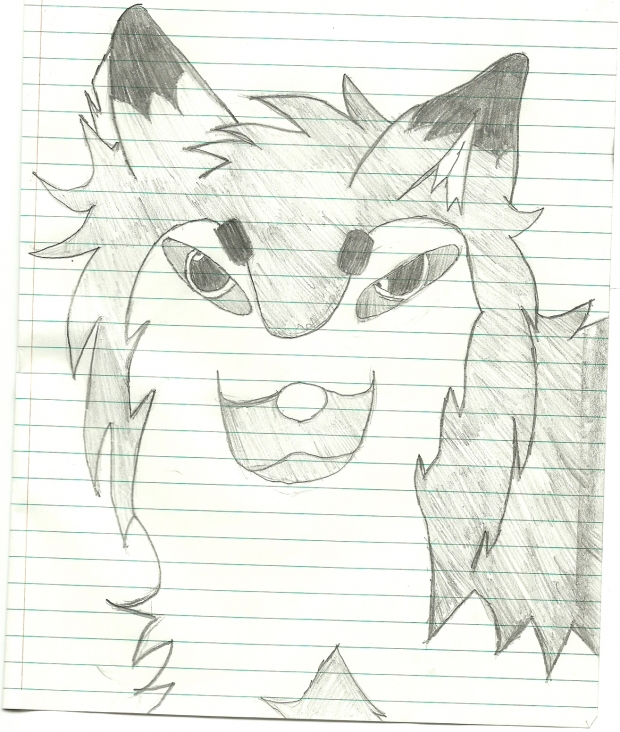 B-day wolf: 2
