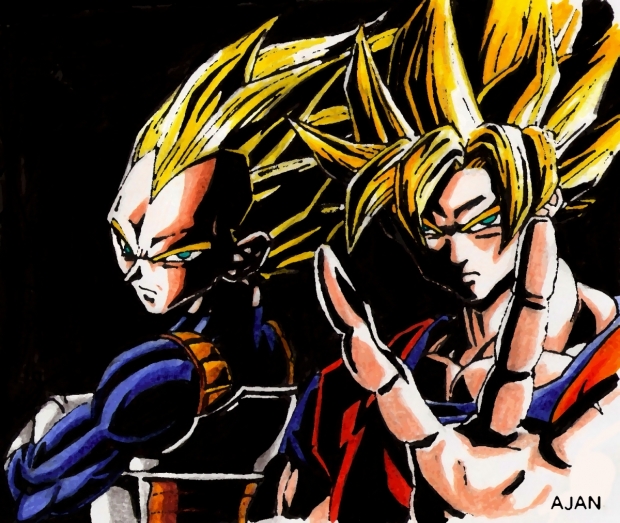 Goku and Vegeta