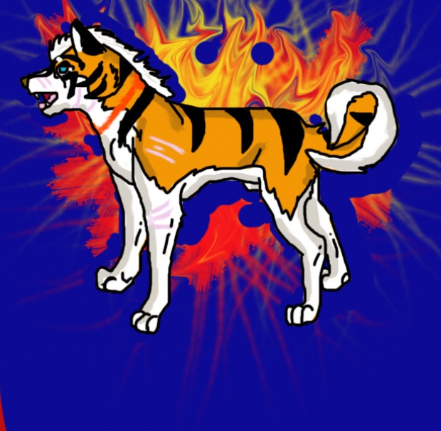 Kajitora (Fan Made Ginga Character)