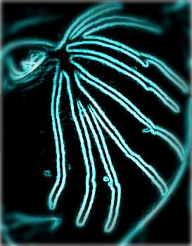 Eye: Lightning Blade