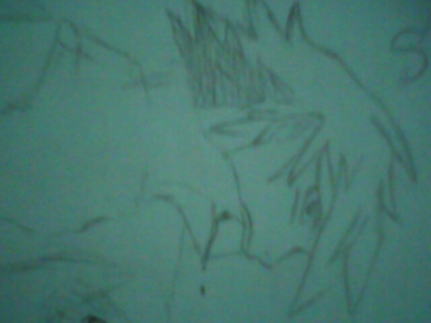 shin