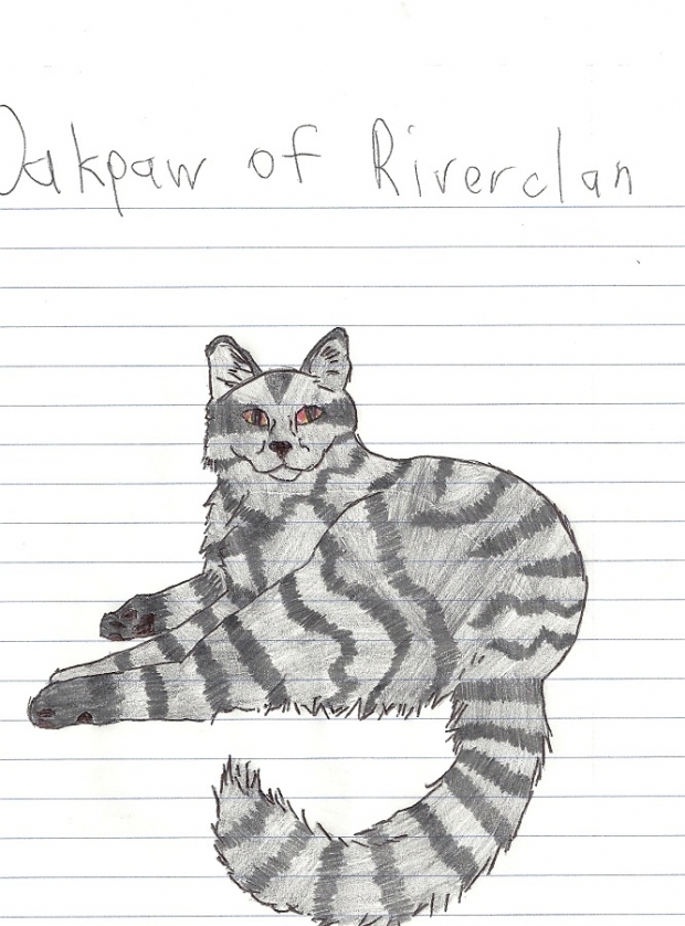Oakpaw of Riverclan