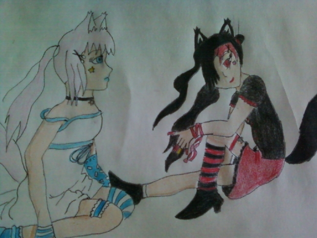 Twin fox