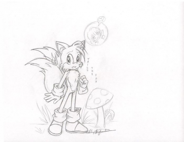 Tails The Fox