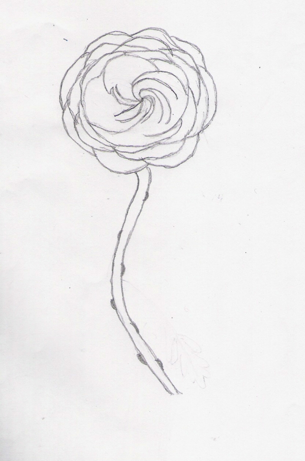 Zero's rose!