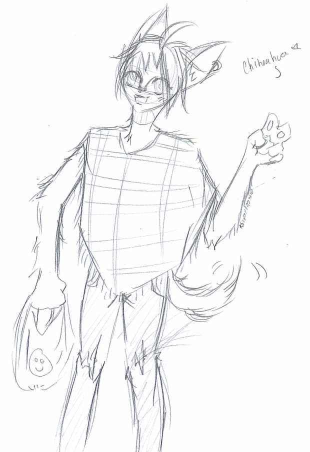 Chihuahua (sketch)