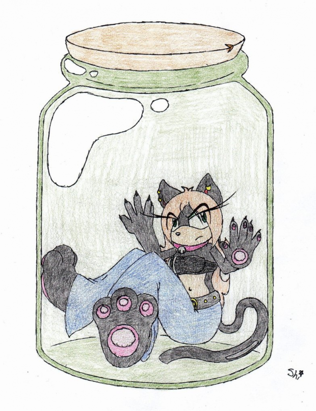 Bottle-O-Feline