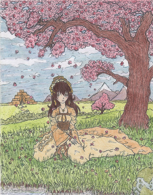Cherry Blossoms