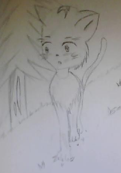 Random Warrior Cat