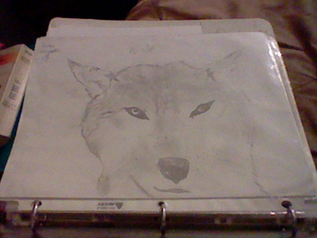 wolfie