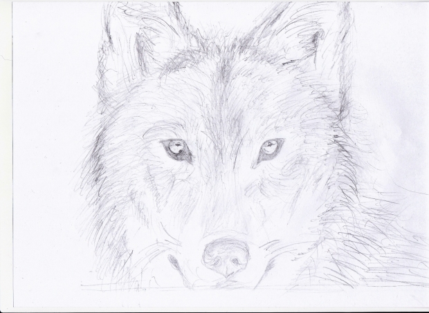 Wolfie