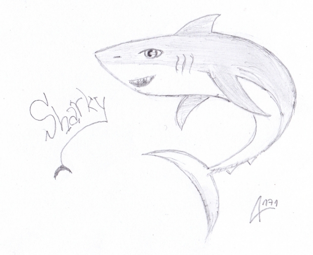 .sharky skech
