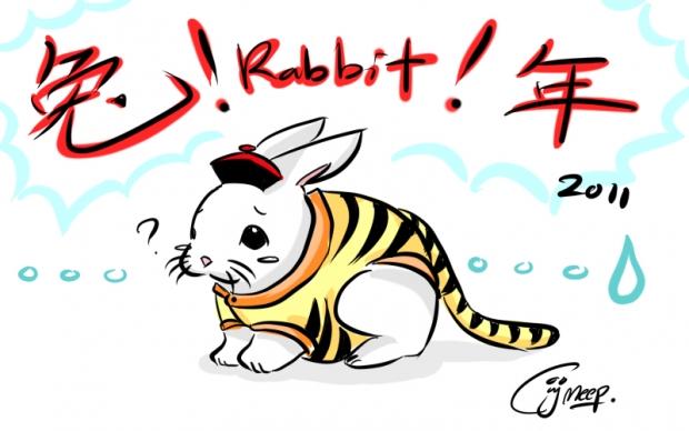 Rabbit2011