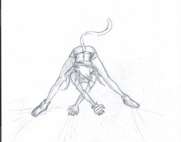 Sketch