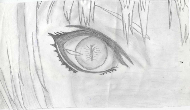 Clare, Yoma eye