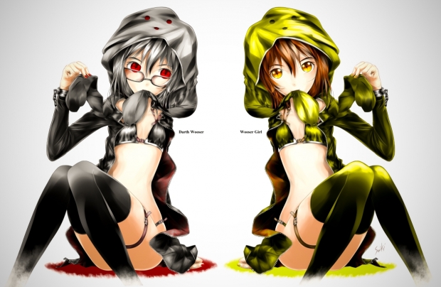 DW-WG