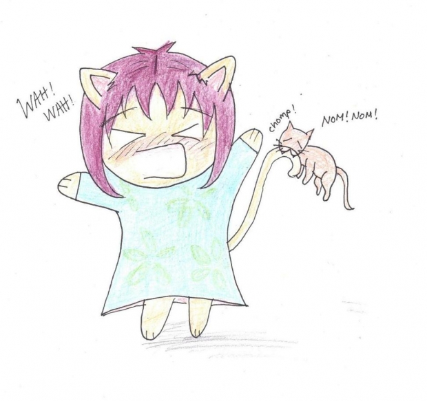 the neko girl