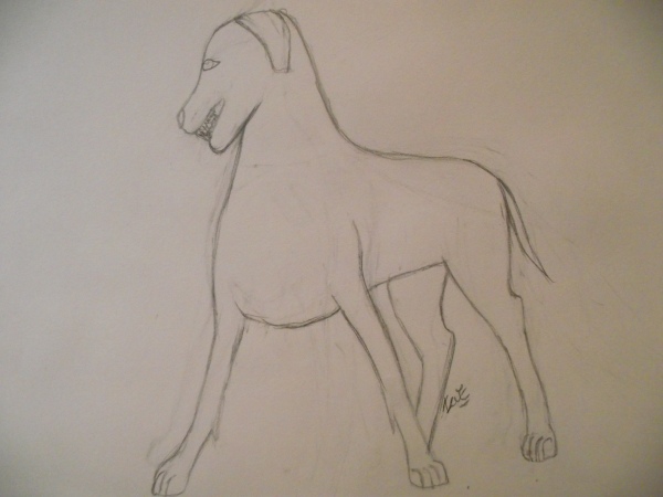 Mutt