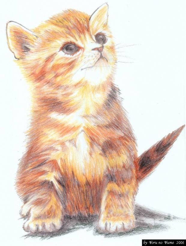 Kitty