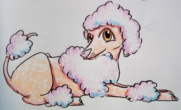 Poodle chibi Dog