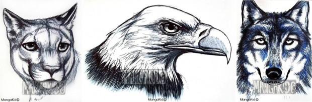 Pen Animals