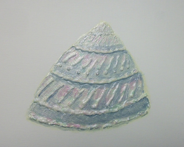 Sea Shell