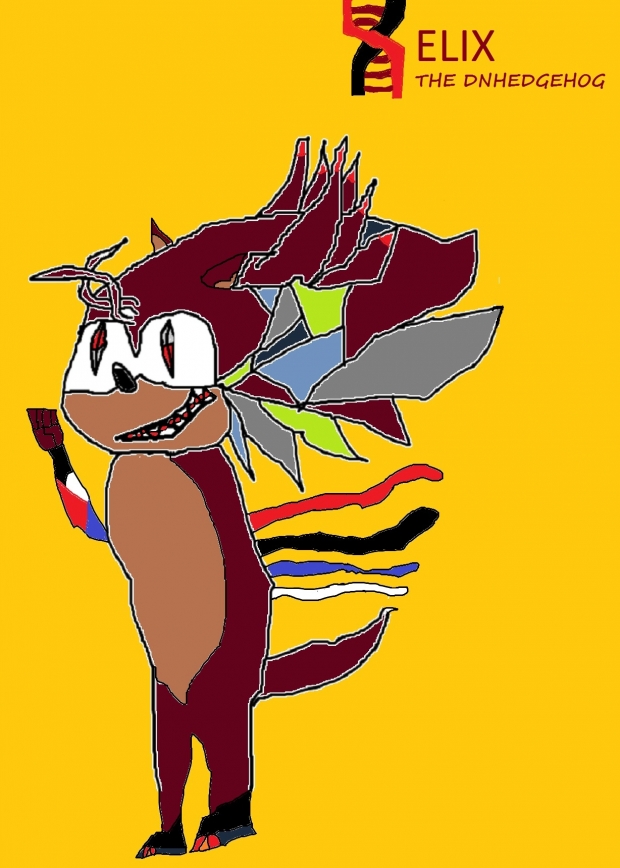 Helix the dnhedgehog