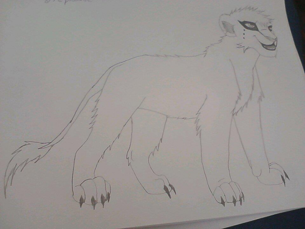 lioness