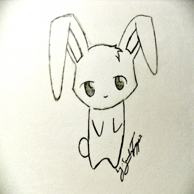 Bunny