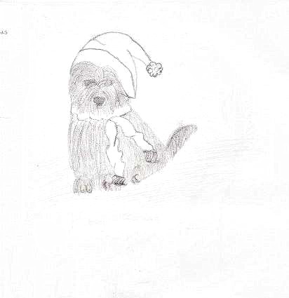 Puppy