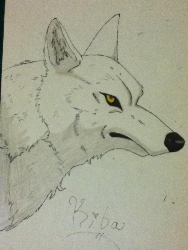 Kiba