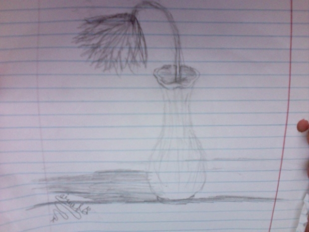 Flower in a vase