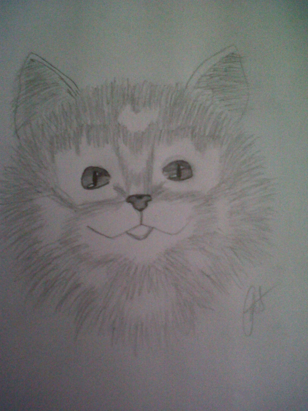 Kitty
