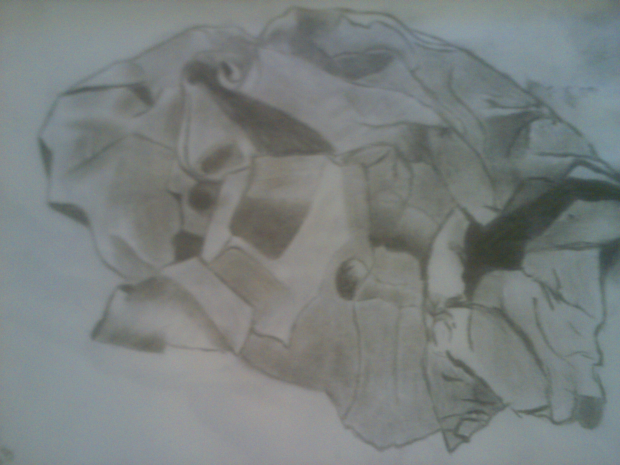 Crumpled paper