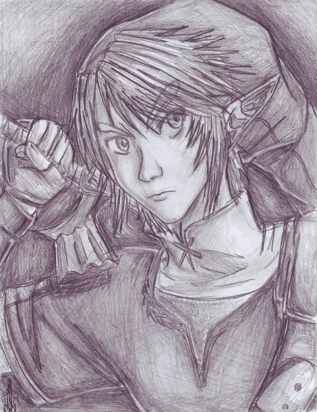 Twilight Princess Link- Ready To Strike