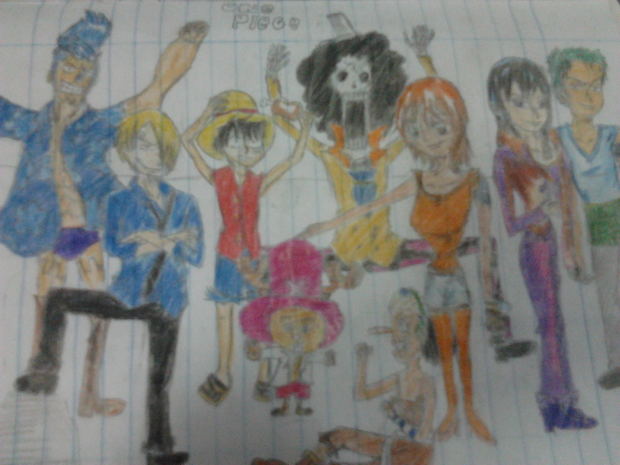 My First Straw Hat Crew Pic!!
