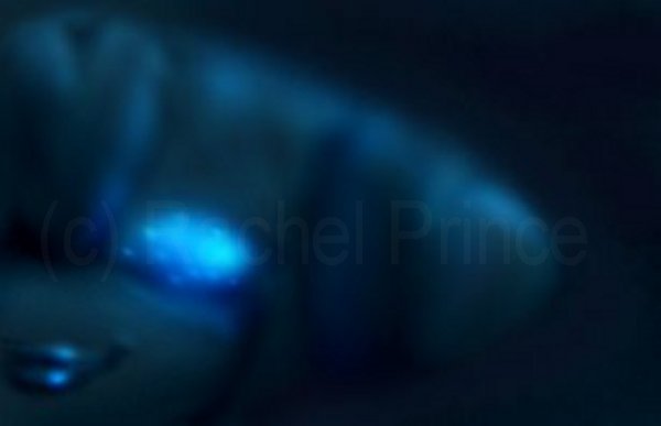 Ionia Airbrushed
