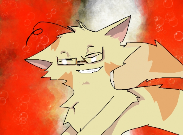 Canada cat