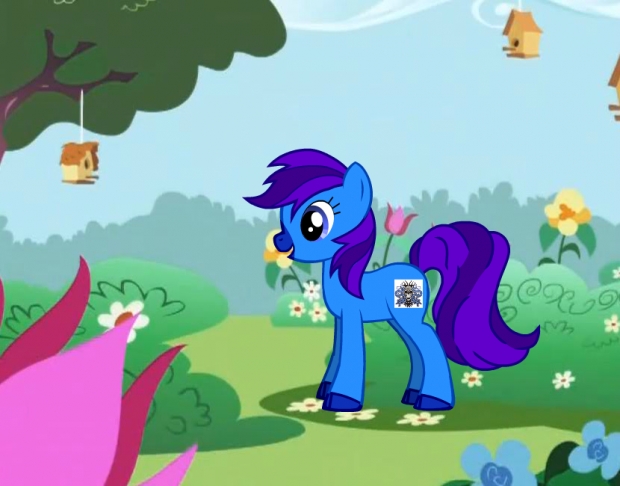 Violetsplash