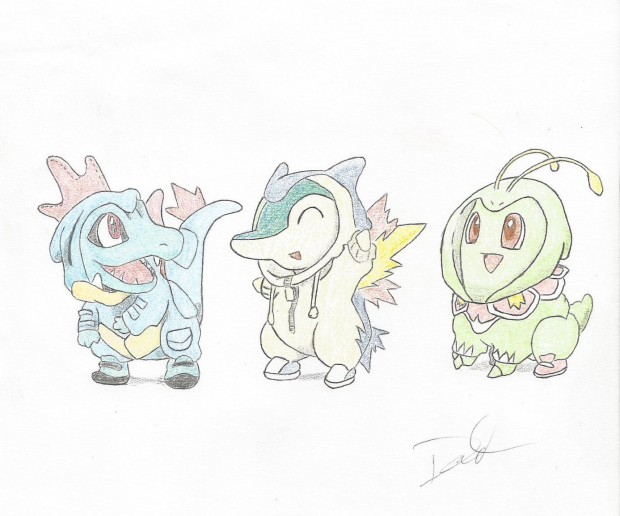The Johto Starters